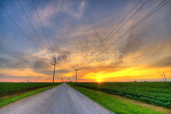 Vidéki naplemente kicsi vidéki út Indiana nap Stock fotó © alexeys