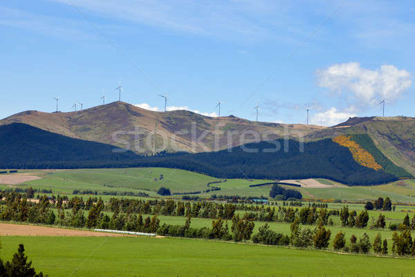 Windpark Bild top New Zealand Himmel Stock foto © alexeys