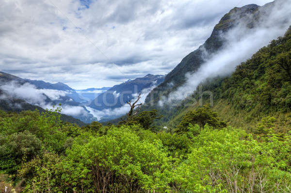 Douteux sonores scénique Nouvelle-Zélande eau nuages Photo stock © alexeys