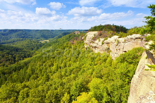 Top Ansicht rot Fluss Wolken Wald Stock foto © alexeys