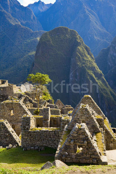 Domów Machu Picchu ruiny kamień Peru podróży Zdjęcia stock © alexeys