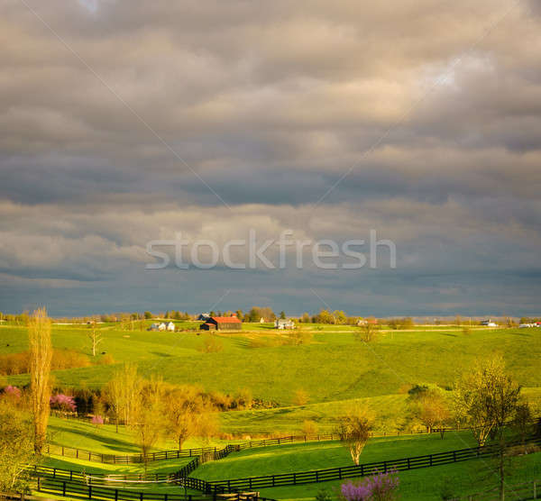 Wiejski Kentucky piękna wiosna scena niebo Zdjęcia stock © alexeys