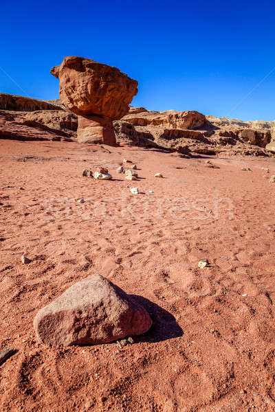 Funghi rock formazione rocciosa parco Israele panorama Foto d'archivio © alexeys