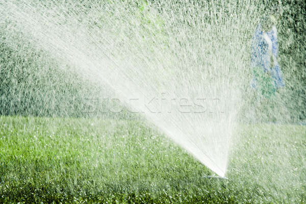 Sprinkler Wasser Rasen Menschen Fuß Vergangenheit Stock foto © alexeys