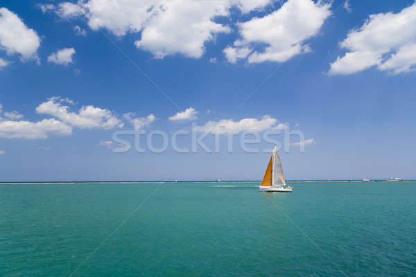 Yelkencilik yelken tekne göl Michigan Chicago Stok fotoğraf © alexeys