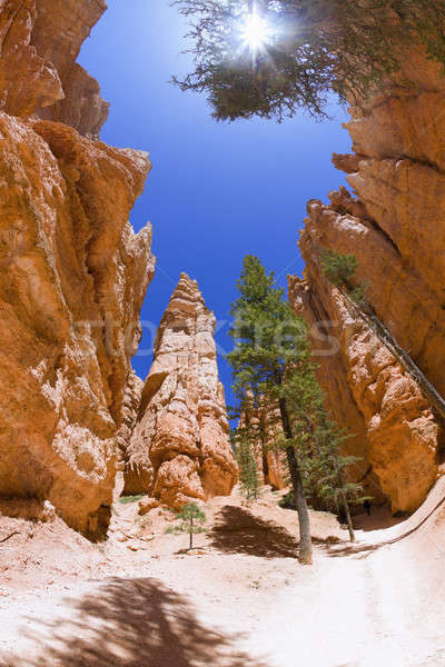 Stock fotó: Kő · tál · halszem · kilátás · kanyon · Utah