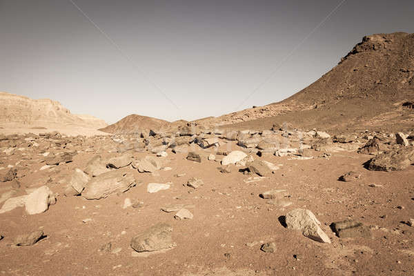Desert landscape Stock photo © alexeys