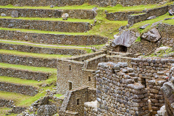 Terraces of Machu Picchu Stock photo © alexeys