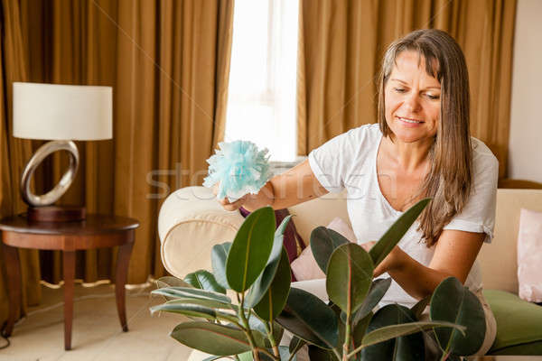 Woman is cleaning houseplant Stock photo © alexeys