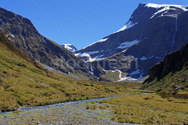 Mountain in Spring Stock photo © alexeys