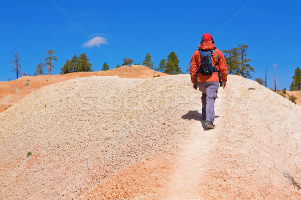 Stockfoto: Canyon · wandelaar · vrouwelijke · heuvel · Utah · vrouw