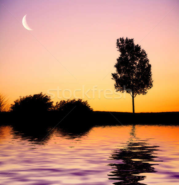 日没 ツリー シルエット 孤独 湖 空 ストックフォト © alexeys