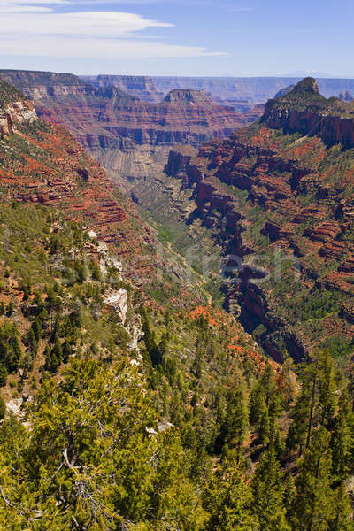 Grand Canyon Stock photo © alexeys
