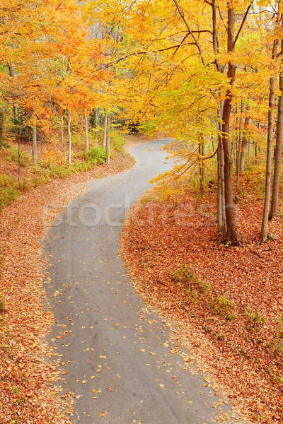 Winding alley in fall Stock photo © alexeys