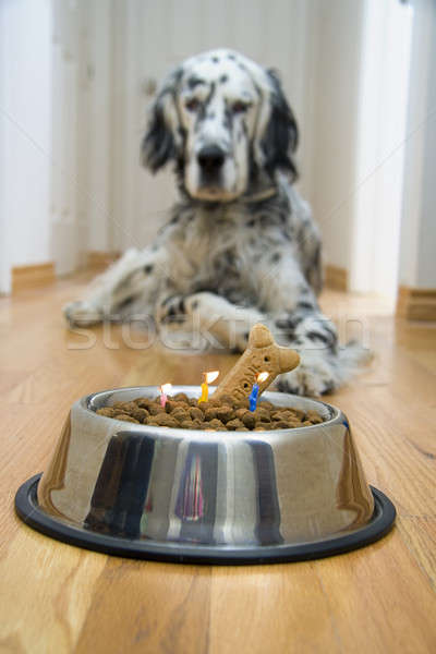 Quick! Make a wish! Stock photo © alexeys