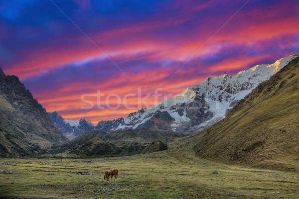 Evening in the Andes Stock photo © alexeys