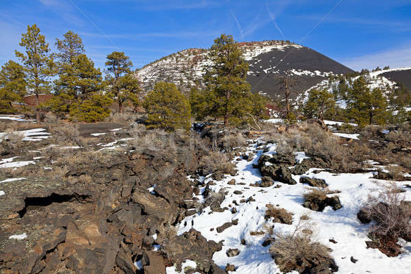 Wygaśnięcia krater lawa dziedzinie zimą niebo Zdjęcia stock © alexeys