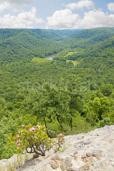 Stockfoto: Kentucky · hoog · punt · platteland · centraal