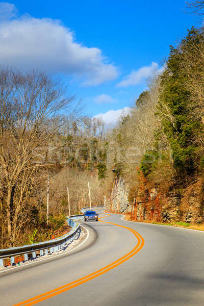 Winding road in Kentucky Stock photo © alexeys