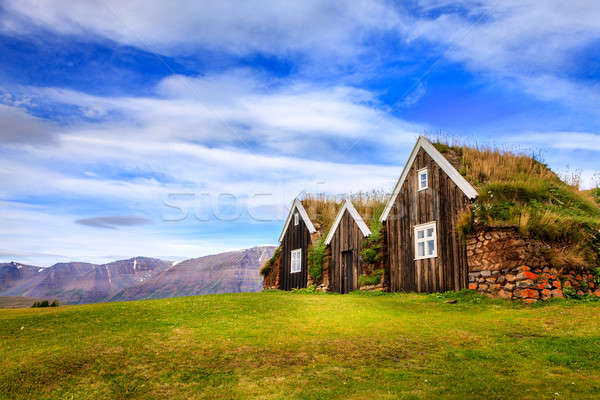 Turf houses Stock photo © alexeys