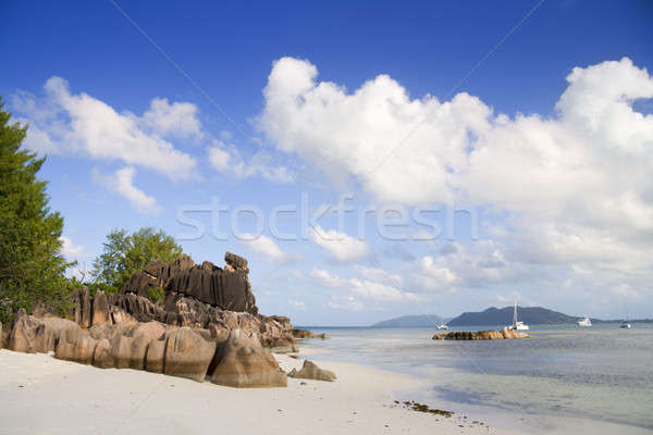 Rocks on the beach Stock photo © alexeys