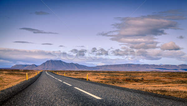 Highway in Iceland Stock photo © alexeys