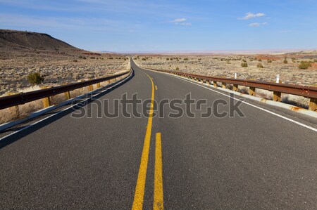 Desert Highway Stock photo © alexeys