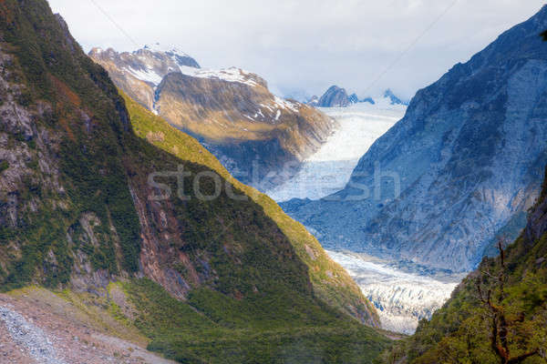 Fox Glacier Stock photo © alexeys