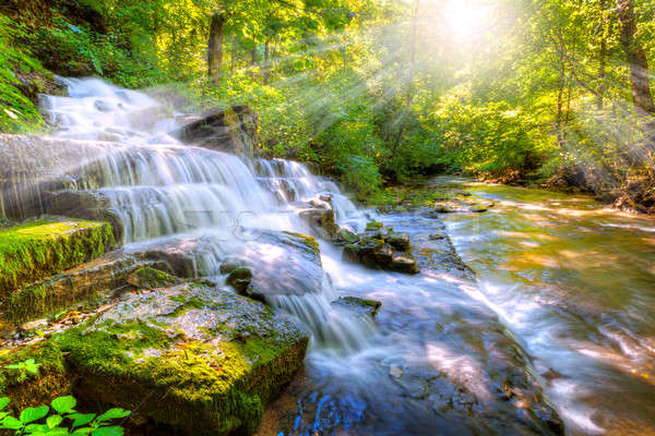 Lasu strumienia wodospad wibrator młyn przyjemny Zdjęcia stock © alexeys