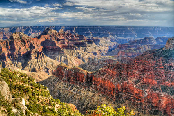 Grand Canyon settentrionale hdr immagine alberi Foto d'archivio © alexeys