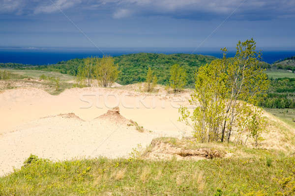 Michigan dunes Stock photo © alexeys