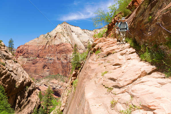 Hikers in Zion Stock photo © alexeys