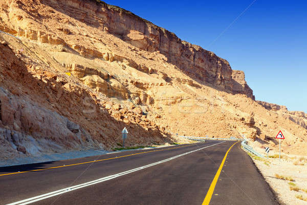 Desert highway Stock photo © alexeys