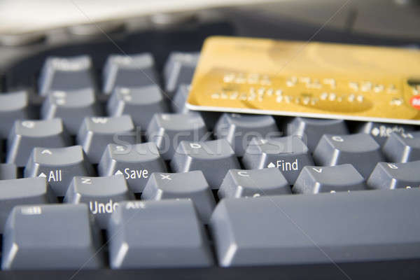 Internet shopping Stock photo © alexeys