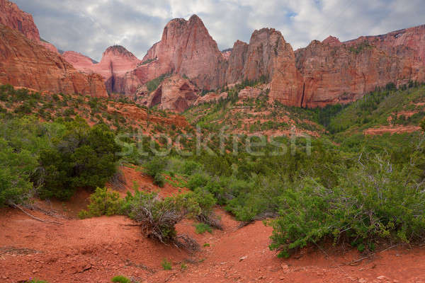 Red rocks of Zion Stock photo © alexeys