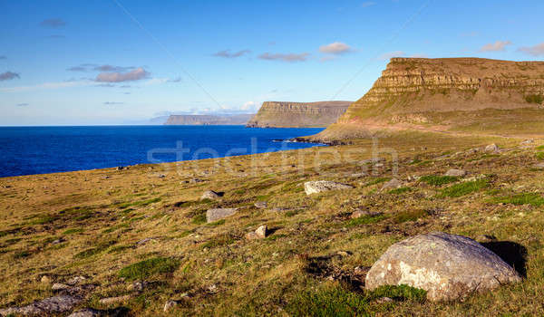 美しい 表示 海岸線 アイスランド 空 草 ストックフォト © alexeys