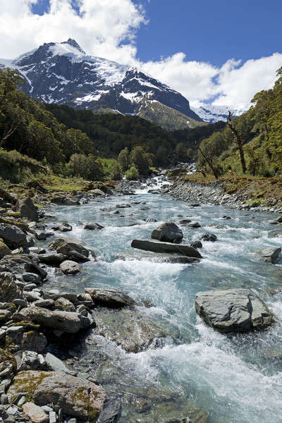 Szenische Tal New Zealand Fluss Süden Insel Stock foto © alexeys