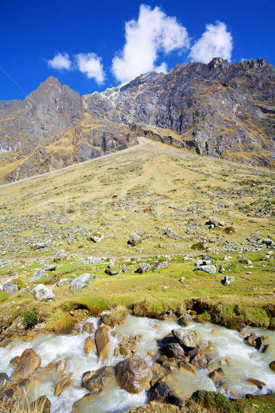 Andes Stock photo © alexeys