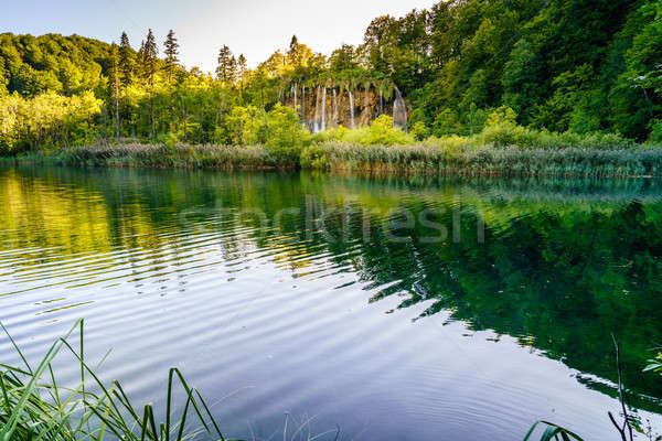 Stock fotó: Park · kilátás · vízesés · Horvátország · víz · erdő