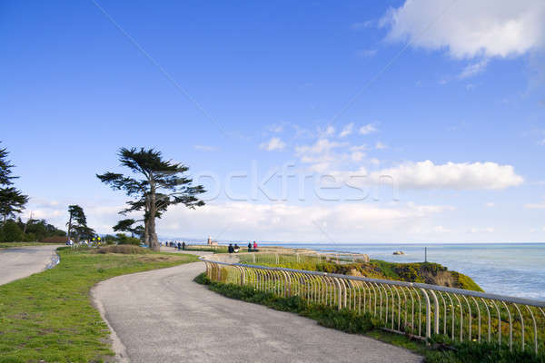 Walkway along the ocean side Stock photo © alexeys