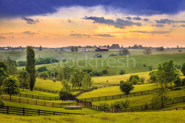 Rural Kentucky hermosa escena hierba Foto stock © alexeys