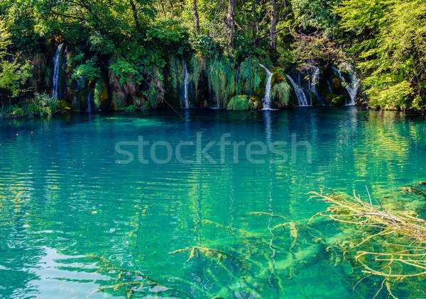 Plitvice Lakes National Park Stock photo © alexeys