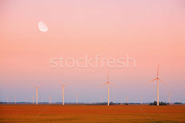 Parque eólico ver Indiana pôr do sol lua fazenda Foto stock © alexeys