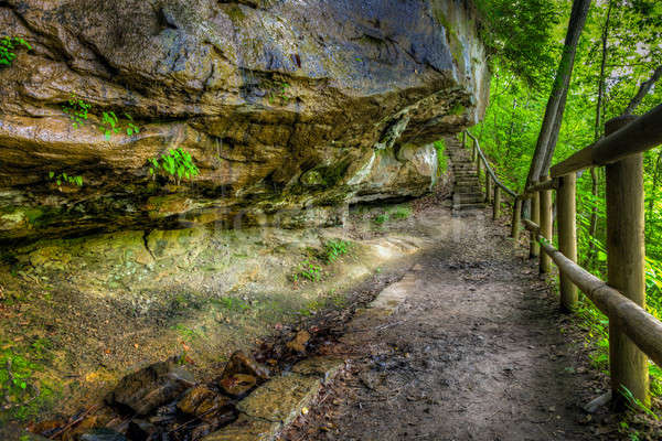 Hiking trail Stock photo © alexeys