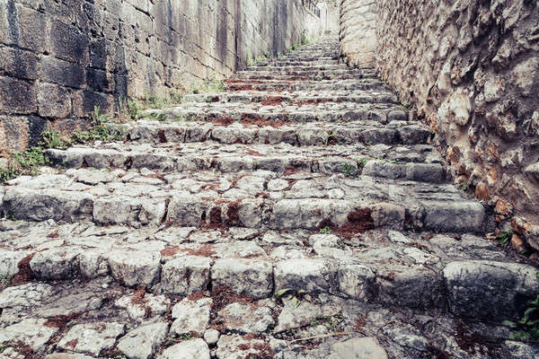 ősi macskakő utca középkori kicsi város Stock fotó © alexeys