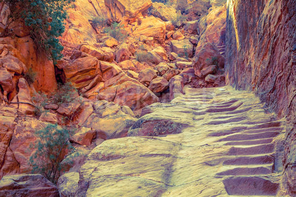 Hiking trail in Petra Stock photo © alexeys