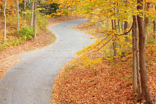 Winding alley in fall Stock photo © alexeys