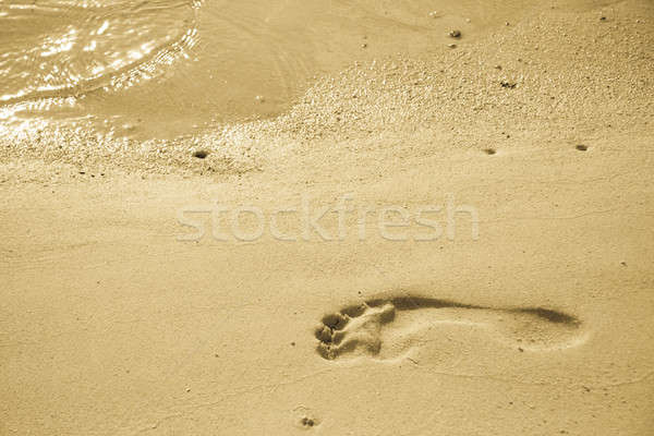 Strand Impressum menschlichen Fuß Sand schließen Stock foto © alexeys