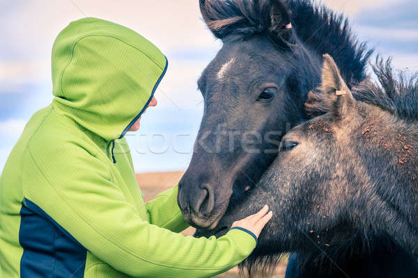 Woman with Icelandic Ponies Stock photo © alexeys
