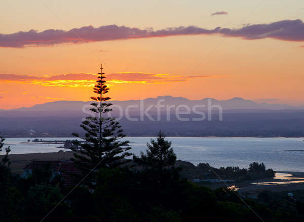 Sunset over bay  Stock photo © alexeys